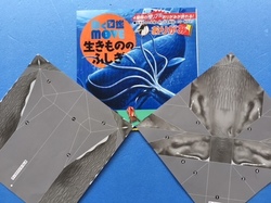 生き物折り紙マッコウ.jpg