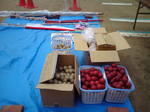 20100527090656.jpg