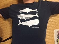 弟Tシャツ.jpg