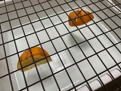 IMG_3854.jpg