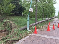 IMG_6486.JPG