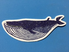 katakataスポンジ.jpg